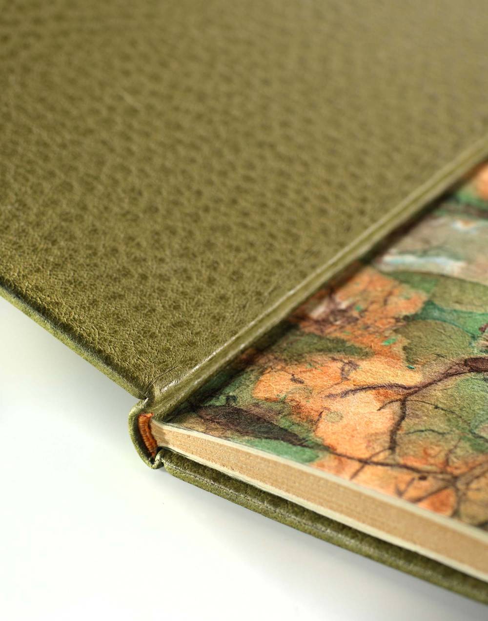 _©Studio Pygmalion (41)