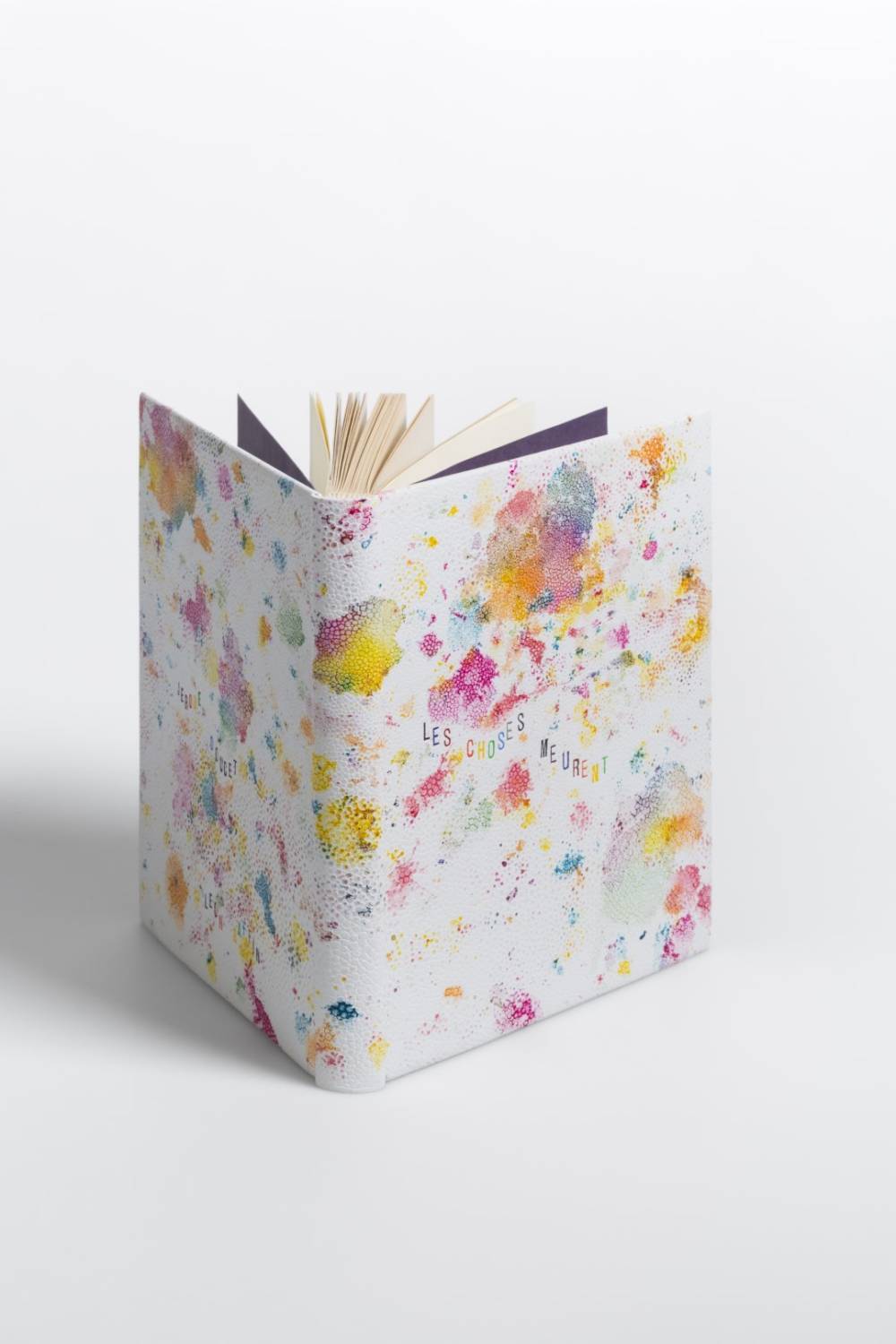 Anne frechard1_©MICHÈLE GARREC