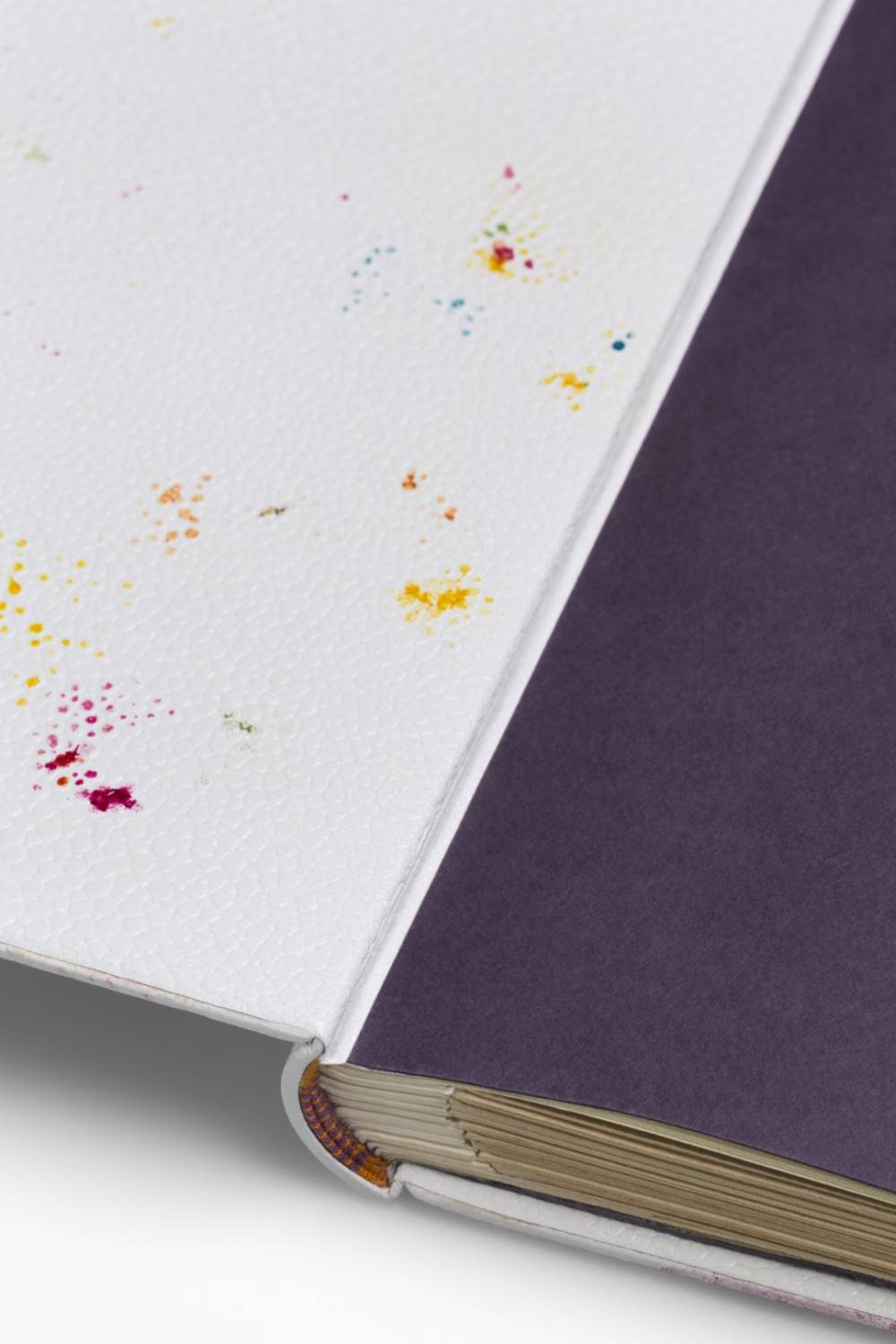 Anne frechard2_©MICHÈLE GARREC