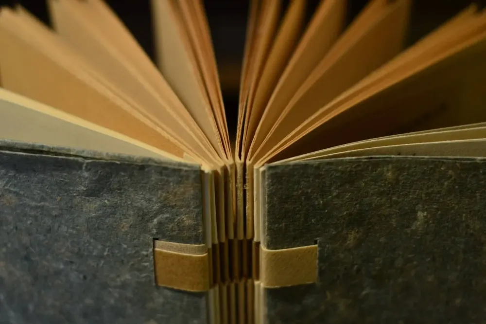 Doreur près de Saverne