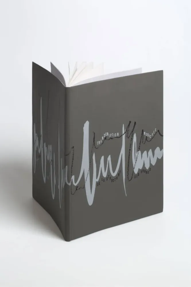 Transcription musicale de la structure des arbres | Giuseppe PENONE