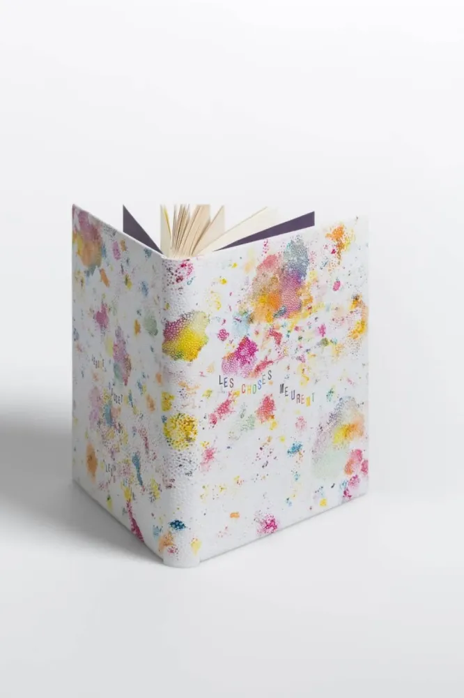 Les choses meurent (2)